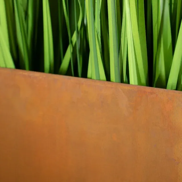 Функції зовнішніх огорож.